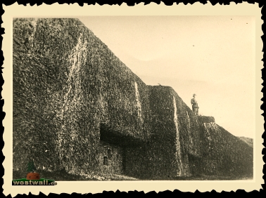 Regelbau 116